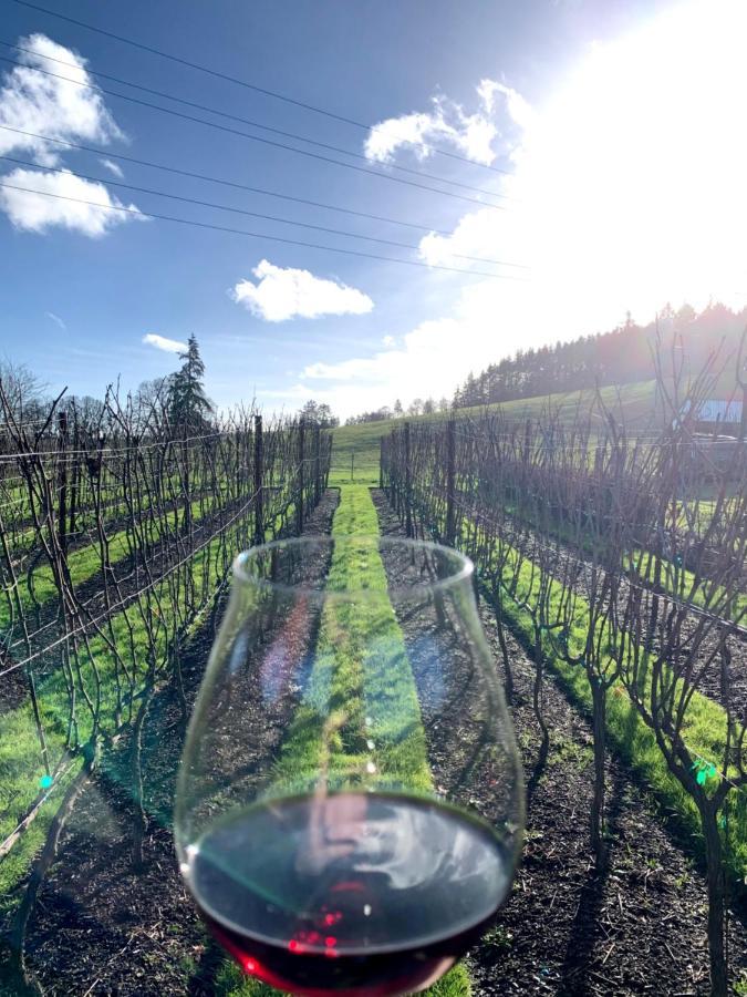 نيوبيرغ The Setting Inn Willamette Valley المظهر الخارجي الصورة